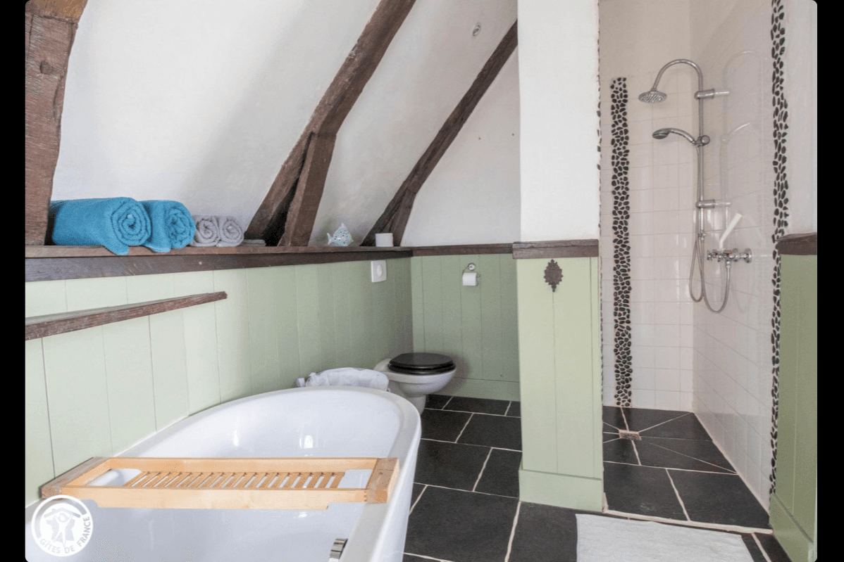 Anémone : intérieur paisible