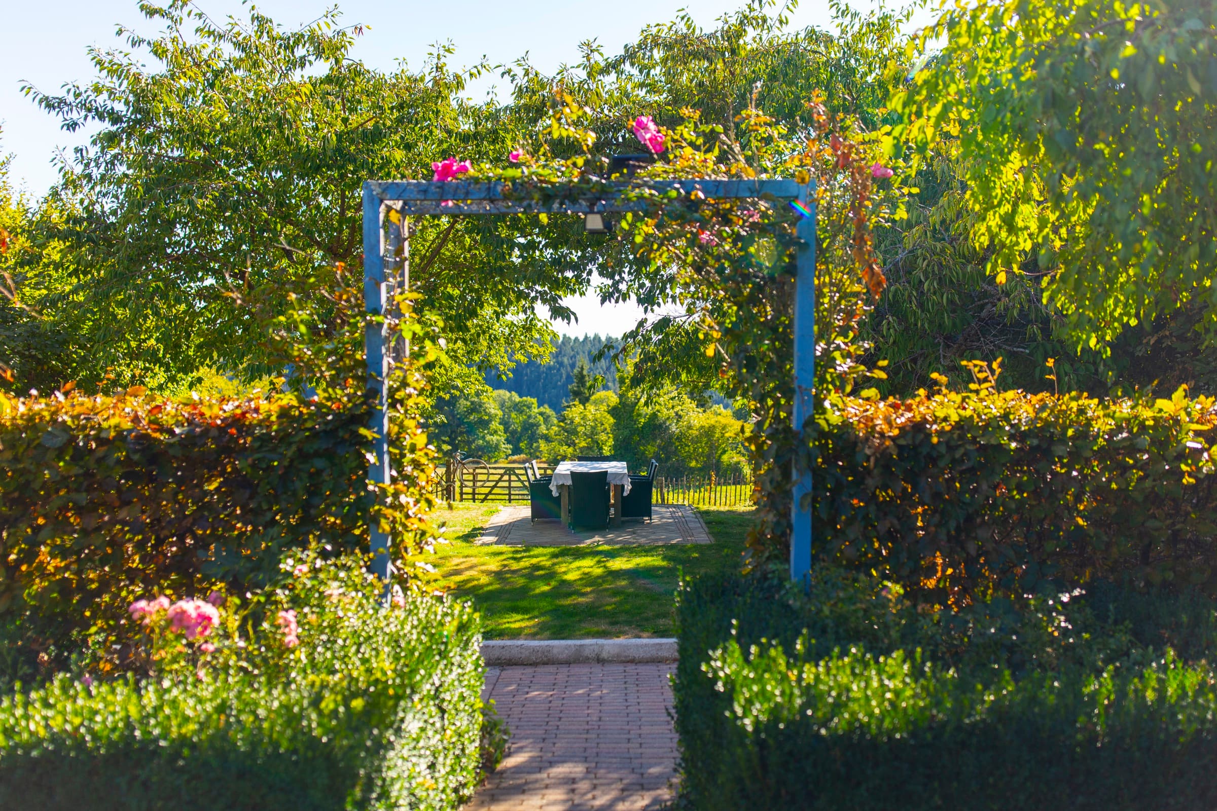 Pergola bleue garnie de roses, qui cadre l'allée pavée vers la table et les bois.