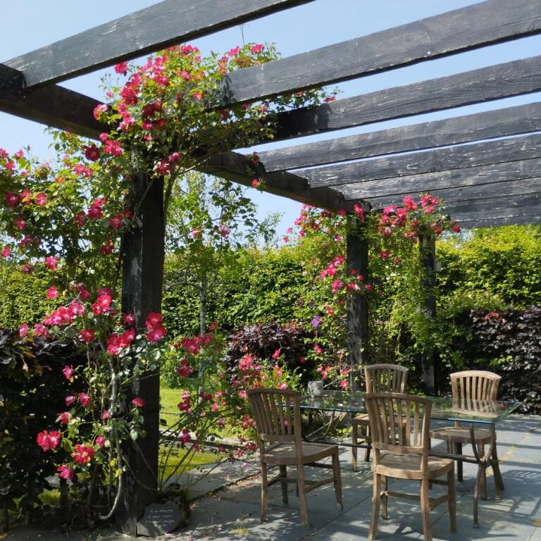 Rose : extérieurs et terrasse privative