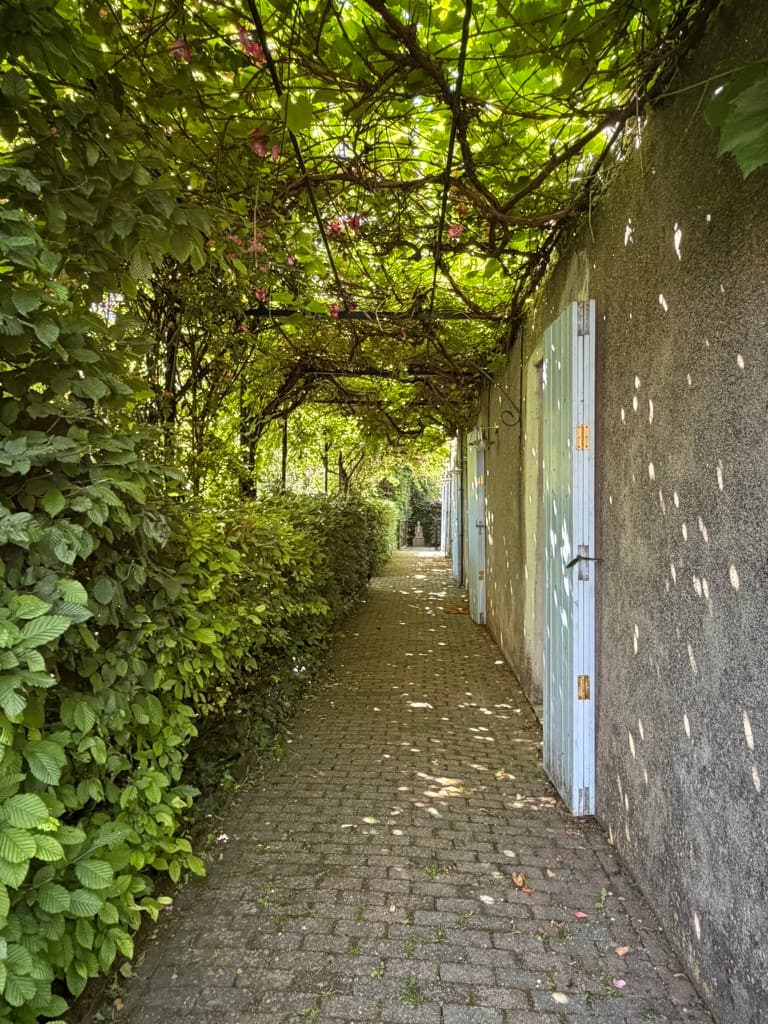 Allée pavée ombragée par une pergola de vignes et de roses le long du domaine