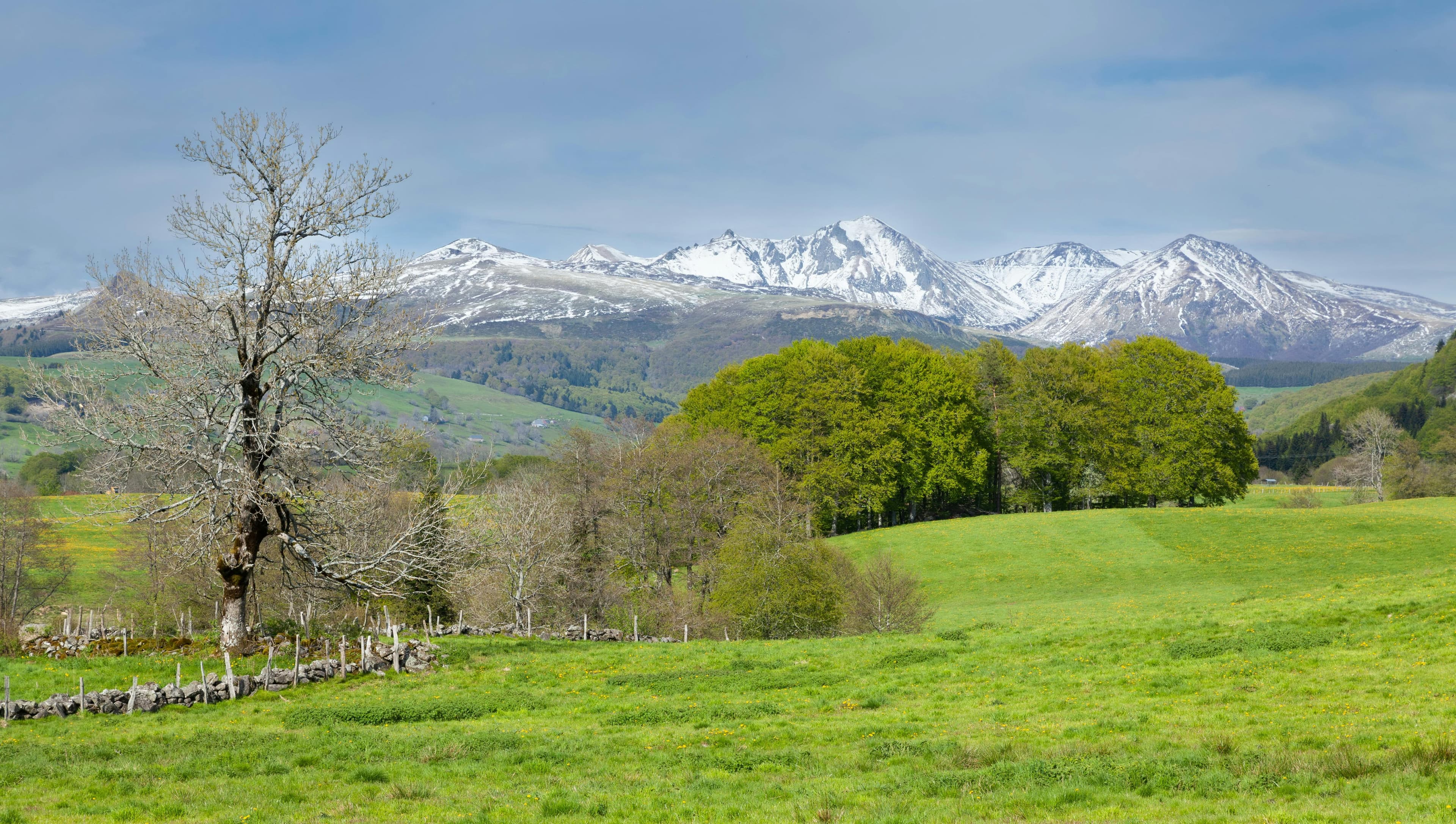 Vue sur les montagnes